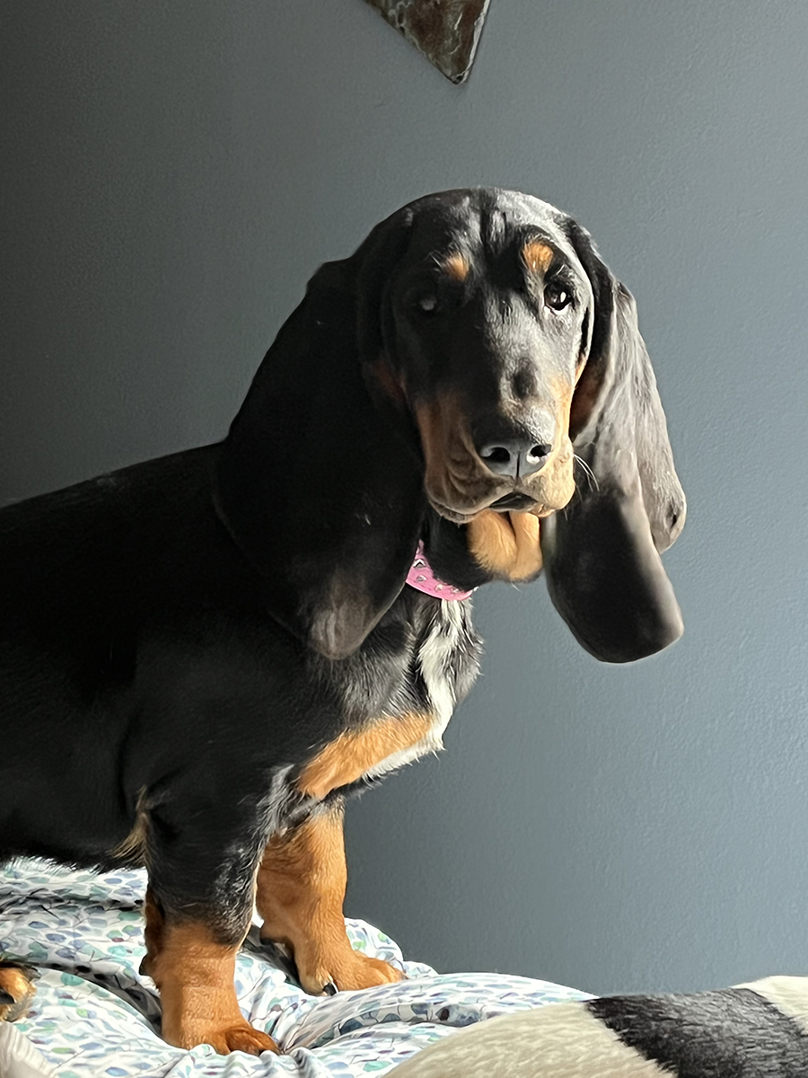 lulu_mom
